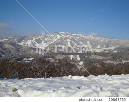 Snow's Asahiga dune 10065763
