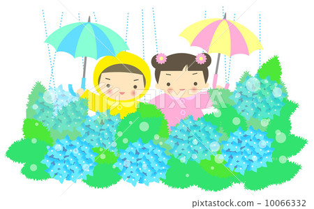 繡球 繡球 10066332