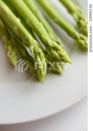 Asparagus Asparagus 10066536