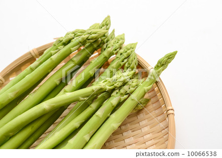 蘆筍 蘆筍 10066538