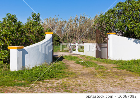 Rural Portugal Courtyard 10067082