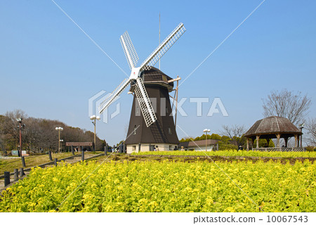 Windmill Hill 10067543