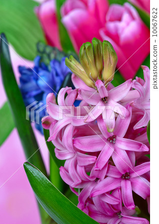 Bouquet of flowers 10067622