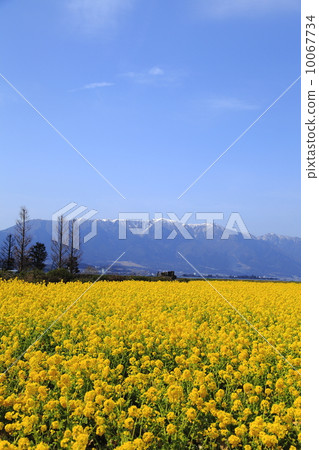 從冬天到春天 10067734