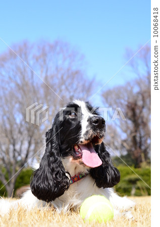 It's spring soon♪ 10068418