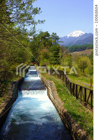 Kotono-dake'你看到了嗎？雪風格的普通人！' 10068604