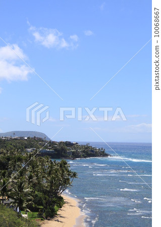 夏威夷海灘 夏威夷海灘 10068667