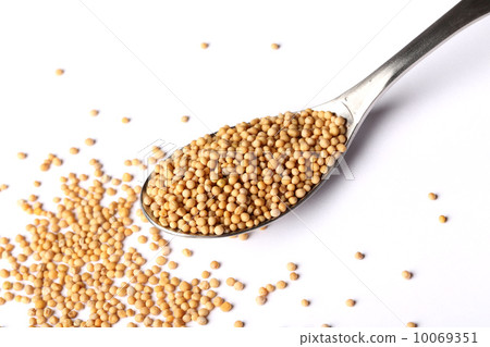 Whole mustard seed on spoon Whole mustard seed on spoon 10069351