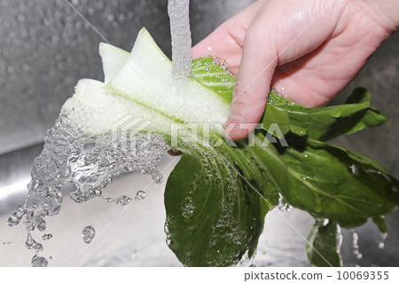 Washing fresh vegetables in the kitchen 10069355