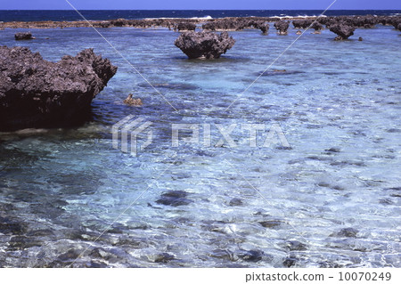 Rota Matsushima 10070249