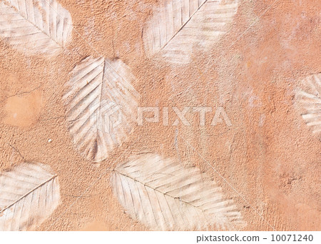 marks of leaf walls 10071240