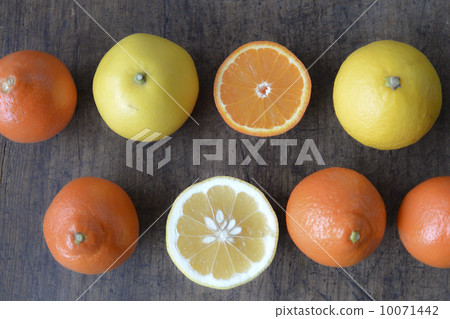 Orange and the Hyuga summer mandarin Orange and the Hyuga summer mandarin 10071442