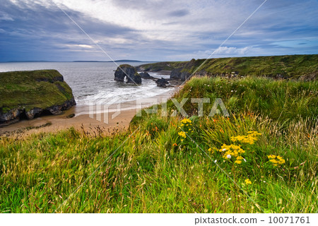 Cliffs in Ireland Cliffs in Ireland 10071761