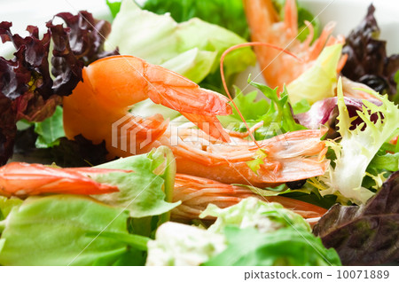 Shrimp Salad Shrimp Salad 10071889