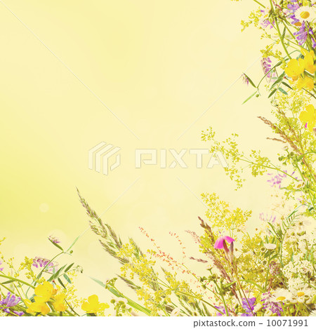 Holiday background 10071991