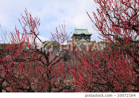 Osaka Castle · Bairin Osaka Castle · Bairin 10072164