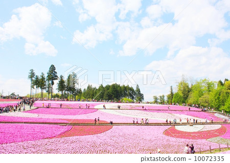 Riyama Park（Shiba Saka） 10072335