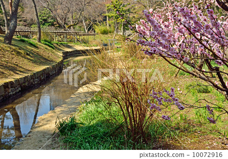 Koishikawa Korakuen·Kanda Kamizu遺址 10072916