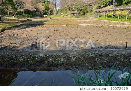 Koishikawa Korakuen·Tabata 10072919
