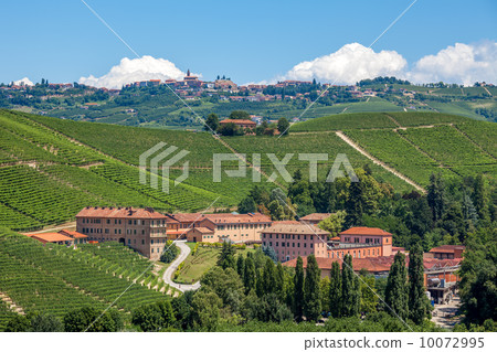 Vineyards and winery in Piedmont, Italy. 10072995