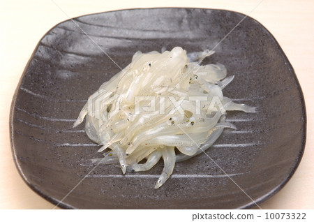 美味的白色魚 10073322