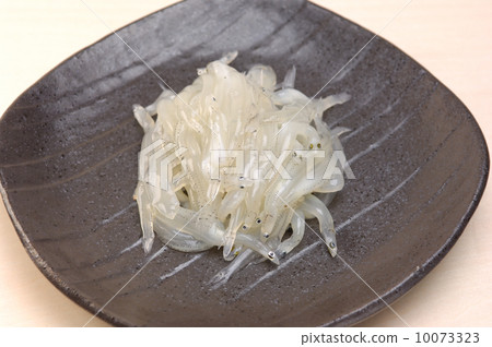 美味的白色魚 10073323