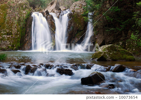 Three muscle waterfall (Kiga city, Shiga prefecture) Three muscle waterfall (Kiga city, Shiga prefecture) 10073654