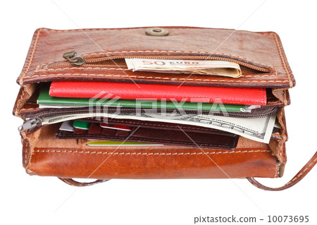 cash, credit cards, documents in female handbag 10073695