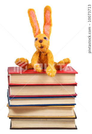 soft toy rabbit sits on old books soft toy rabbit sits on old books 10073713
