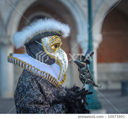 Venetian carnival masks 10073801