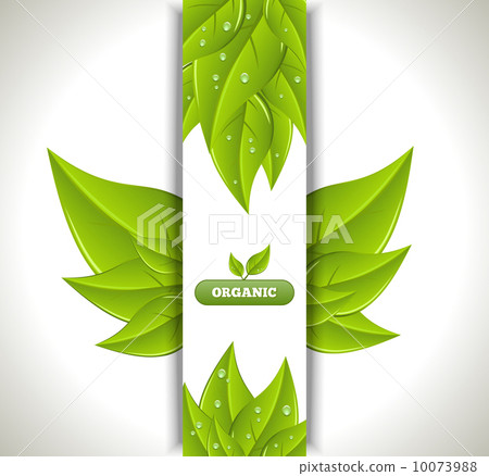 Eco Banner Eco Banner 10073988