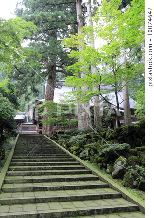 福井縣Eiheiji寺的風景（夏季） 10074642