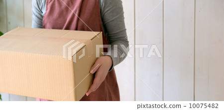 Baggage Baggage 10075482