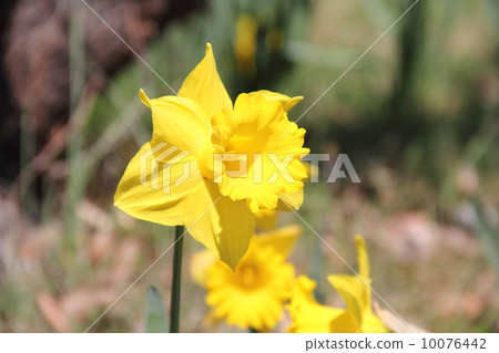 我不猜 我不猜 10076442