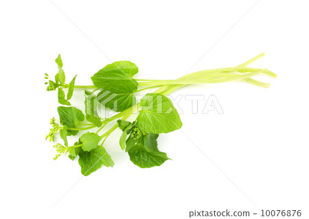 Horseradish 10076876