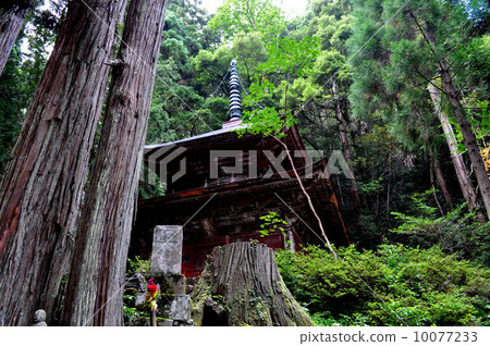 佐渡島的Hasedera寺 10077233