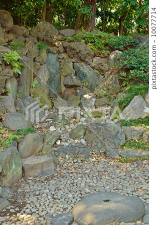 Koishikawa Korakuen · Dead Falls Koishikawa Korakuen · Dead Falls 10077714