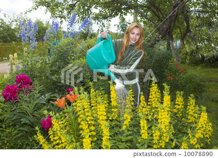 Young pretty woman waters flowers on garden Young pretty woman waters flowers on garden 10078890