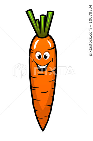 Fresh orange carrot vegetable 10079834