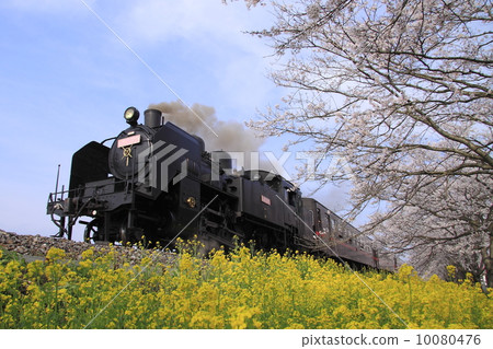 Spring Moka railway SL 10080476