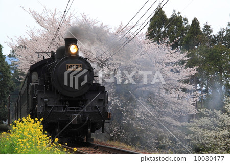 Spring Oigawa Railway SL 10080477