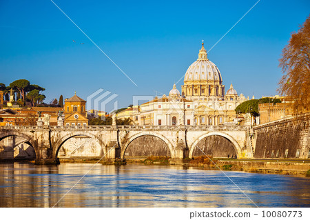 St. Peter's cathedral in Rome 10080773