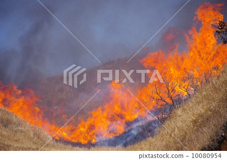 Spring Festival Field burning in the grassland of Aso 10080954