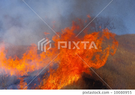 Spring Festival Field burning in the grassland of Aso 10080955