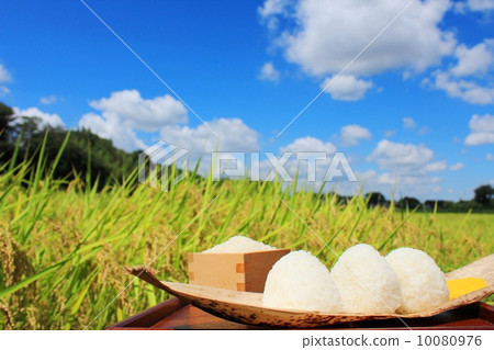 在藍天和米的米飯糰在米領域 在藍天和米的米飯糰在米領域 10080976