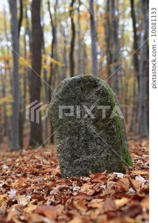 Old Boundary Stone 10081133