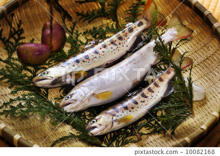 Amago Amago 10082168