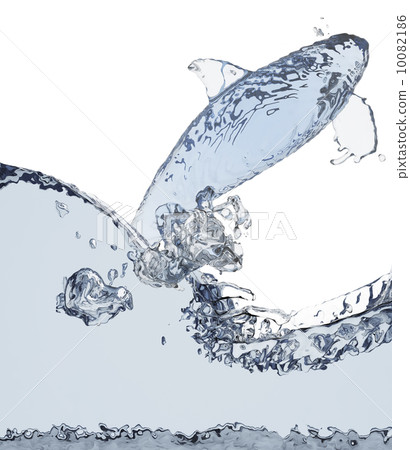 orca of liquid 10082186