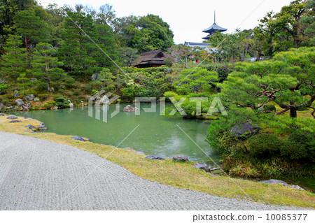 Japanese garden 10085377