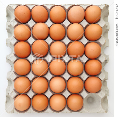 Brown chicken egg 10085852